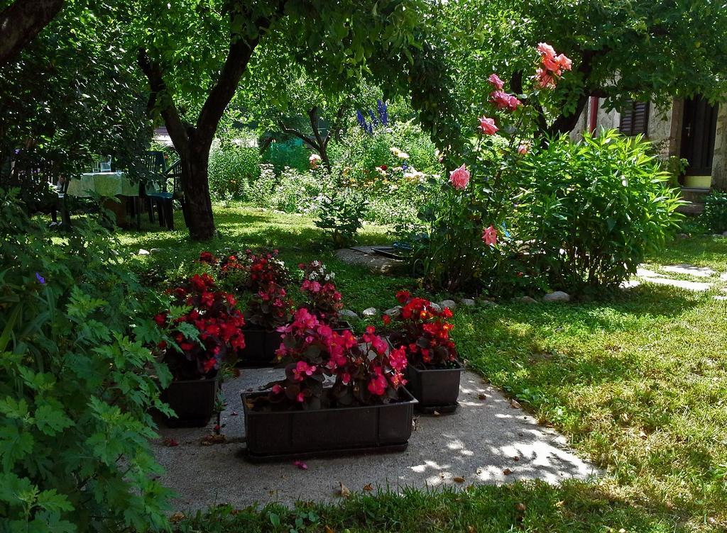 La Vecchia Casa Hotell Cetinje Exteriör bild