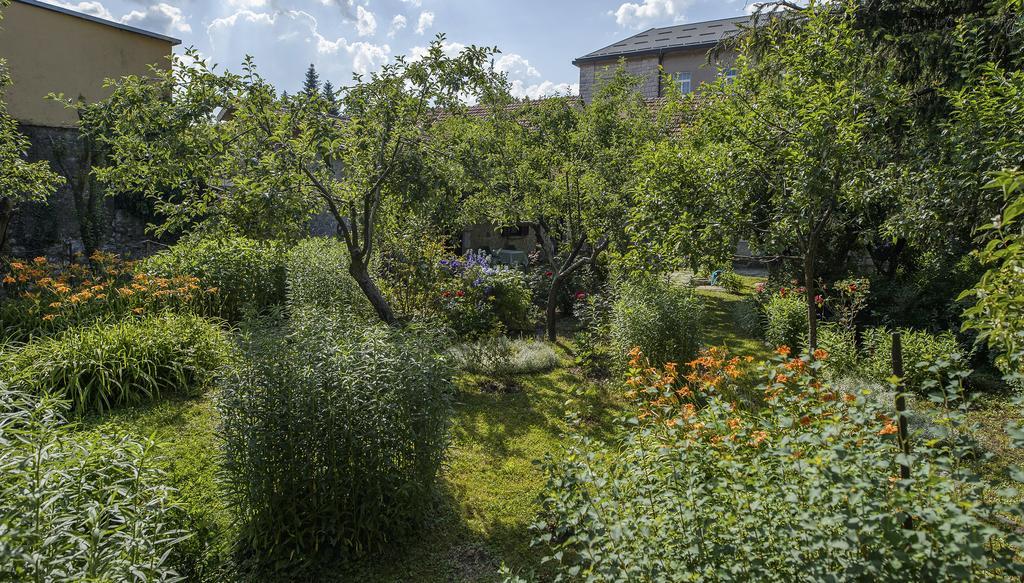La Vecchia Casa Hotell Cetinje Exteriör bild